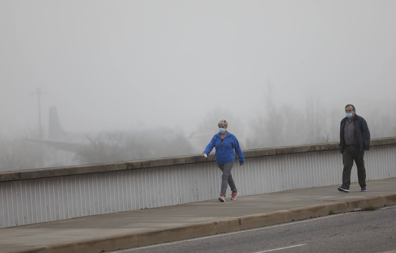 En imágenes, la mañana de niebla en Córdoba