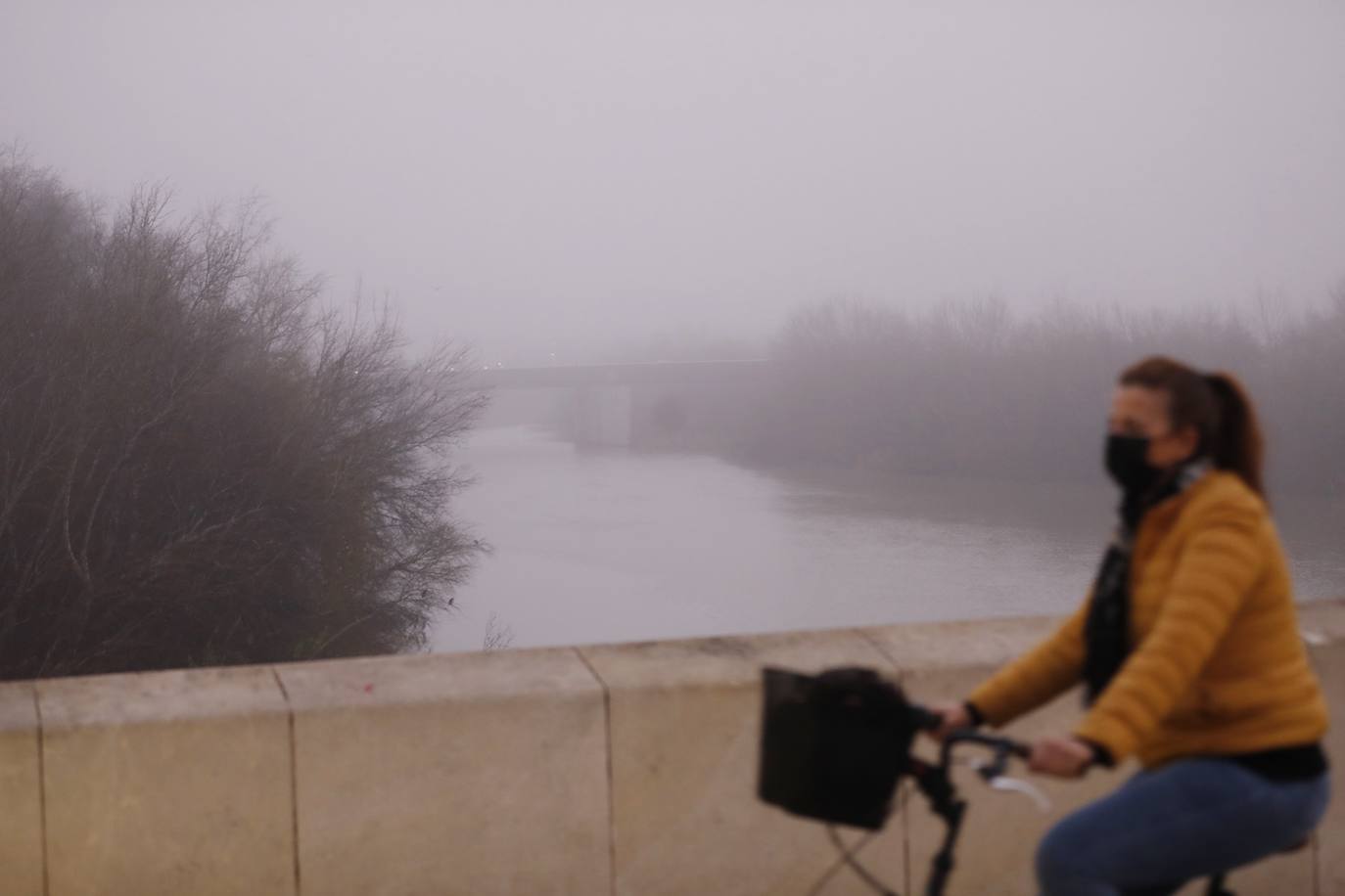 En imágenes, la mañana de niebla en Córdoba