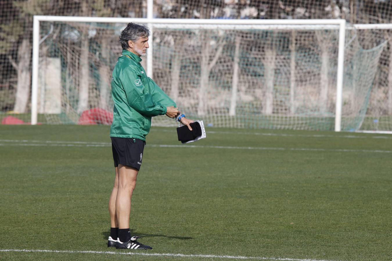 El primer entrenamiento de Alberto Ródenas con el Córdoba CF, en imágenes