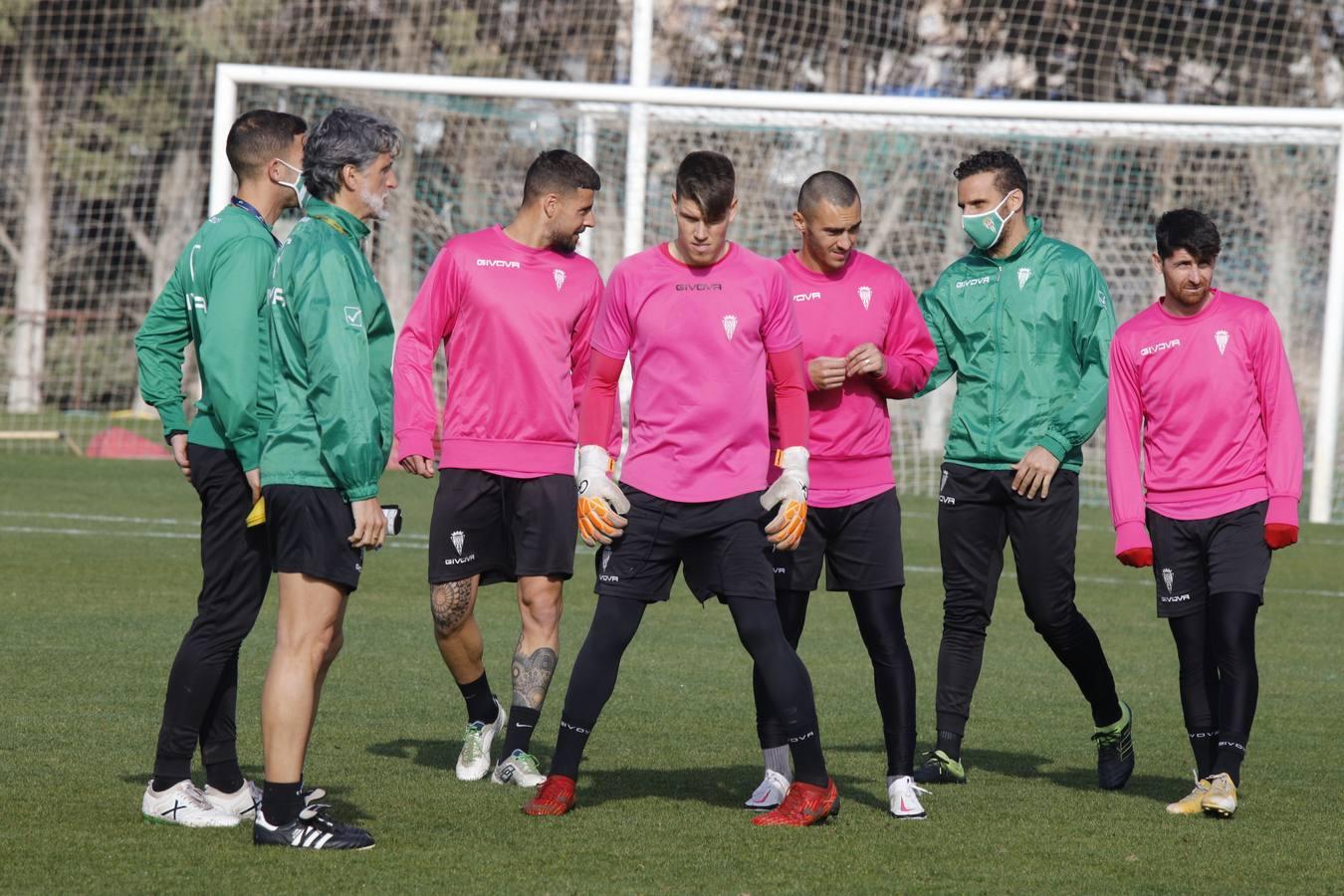 El primer entrenamiento de Alberto Ródenas con el Córdoba CF, en imágenes