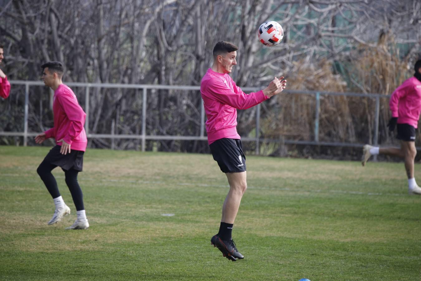 El primer entrenamiento de Alberto Ródenas con el Córdoba CF, en imágenes