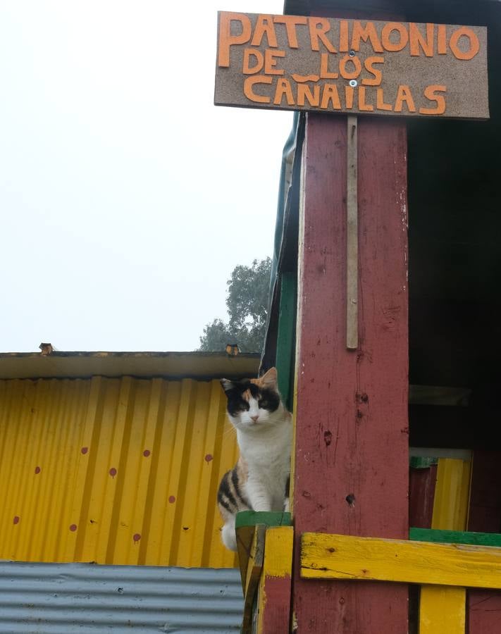 FOTOS: La Casería, el desahucio de «la casa de todos»