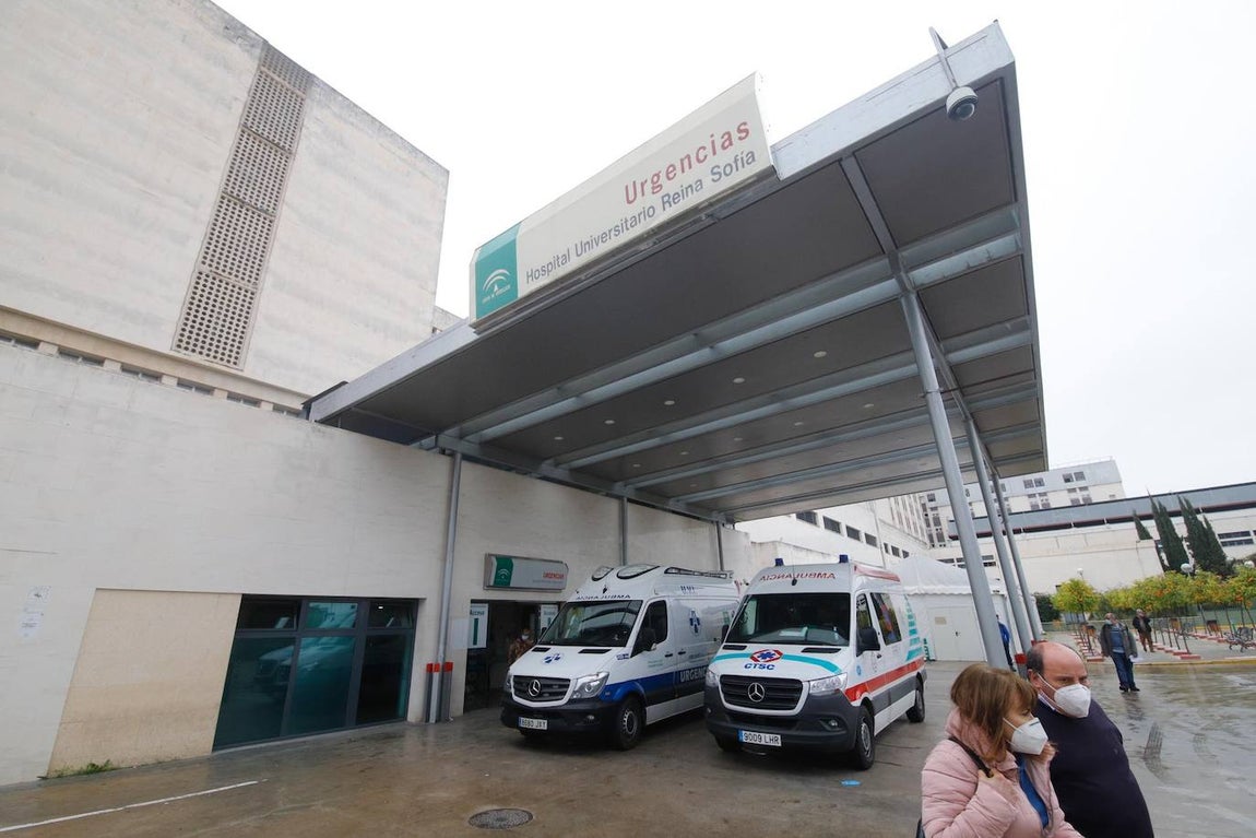 La alta actividad del Reina Sofía de Córdoba por el Covid-19, en imágenes