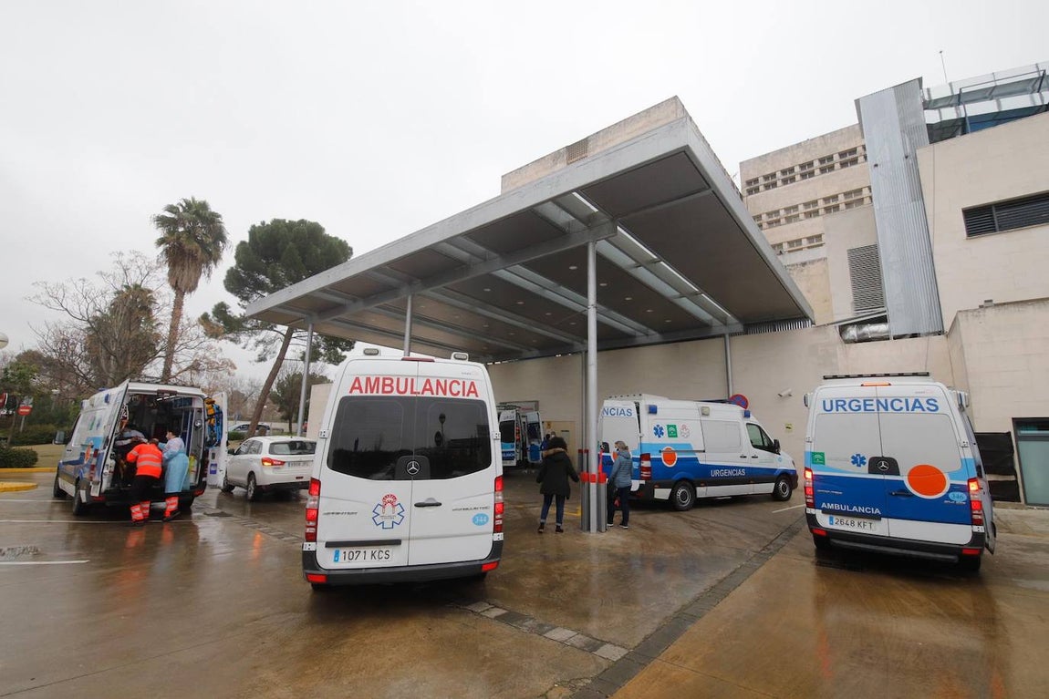 La alta actividad del Reina Sofía de Córdoba por el Covid-19, en imágenes