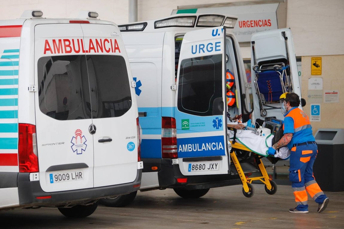 La alta actividad del Reina Sofía de Córdoba por el Covid-19, en imágenes