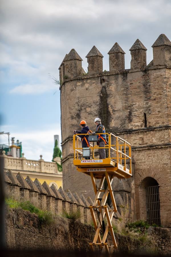 Primera fase de los trabajos de restauración de la muralla de la Macarena