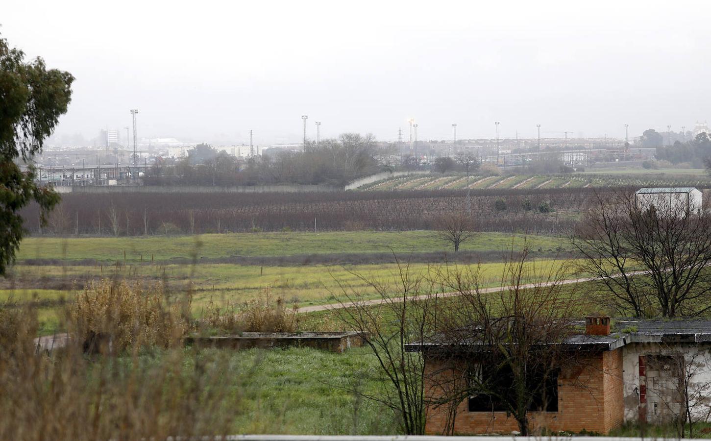 Los terrenos de la futura base logística del Ejército de Tierra en Córdoba, en imágenes