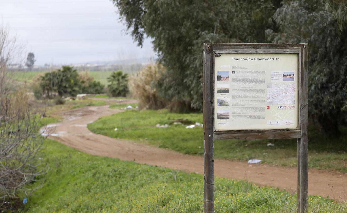 Los terrenos de la futura base logística del Ejército de Tierra en Córdoba, en imágenes