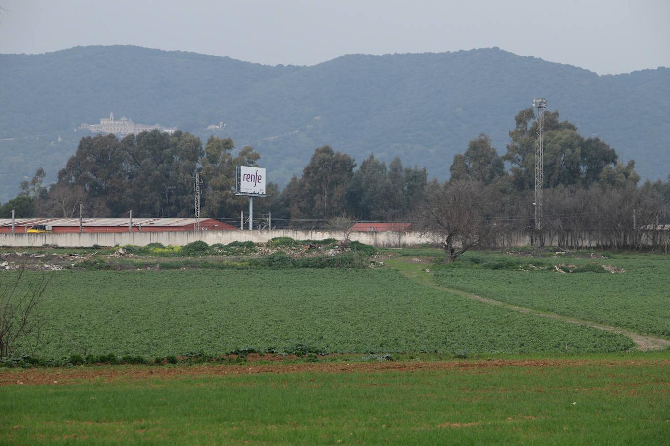 Los terrenos de la futura base logística del Ejército de Tierra en Córdoba, en imágenes