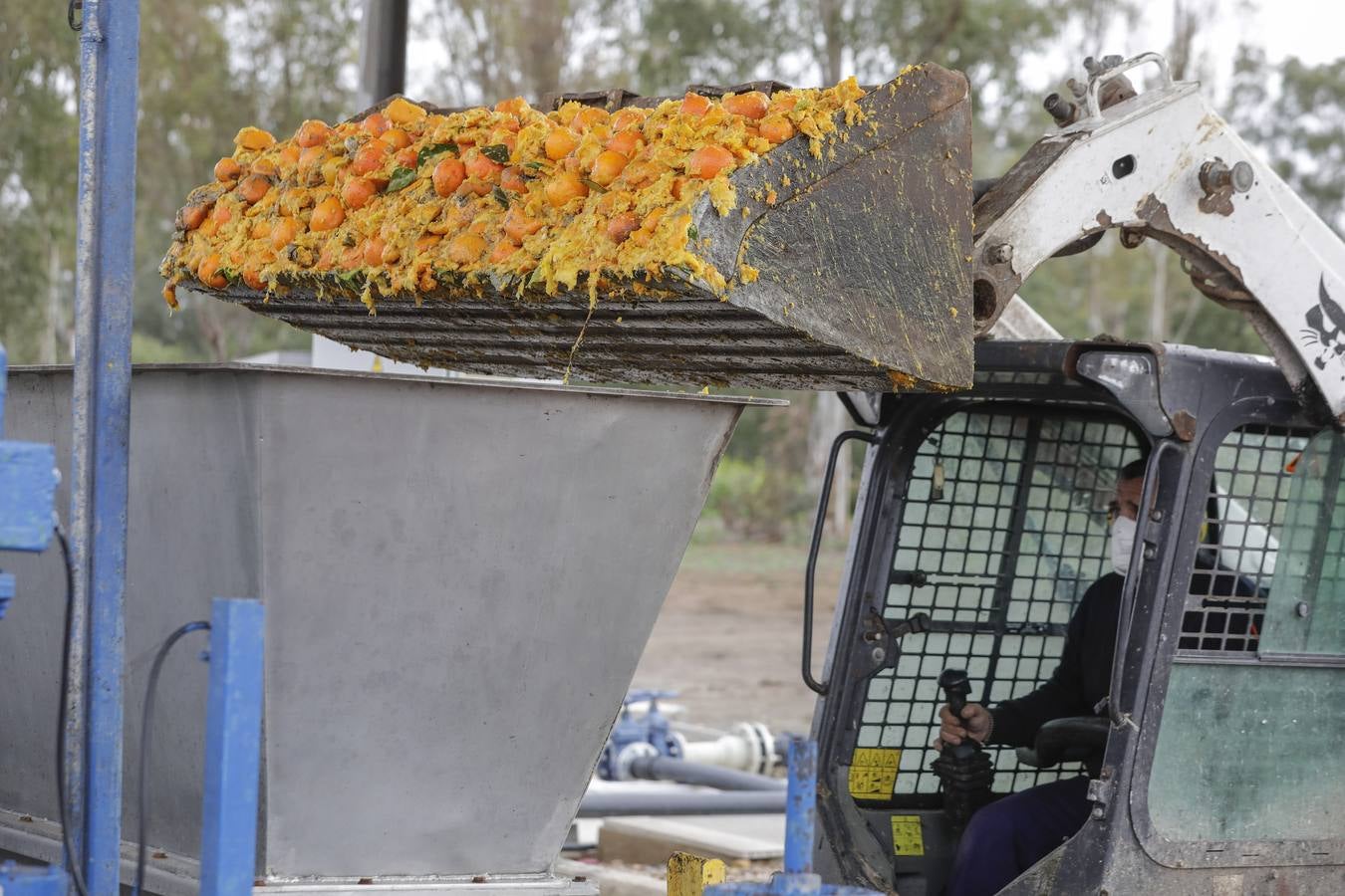 Naranjas que se convertirán en combustible en la estación El Copero