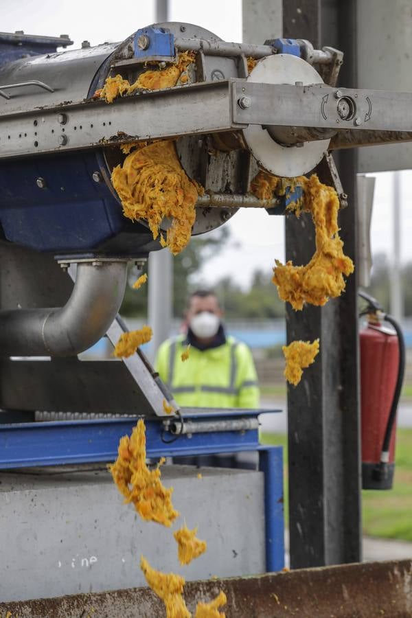 Naranjas que se convertirán en combustible en la estación El Copero