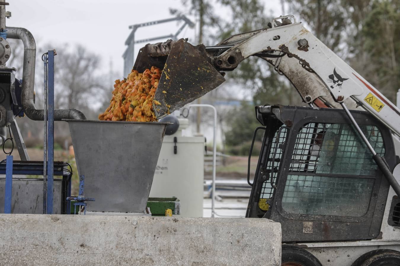 Naranjas que se convertirán en combustible en la estación El Copero