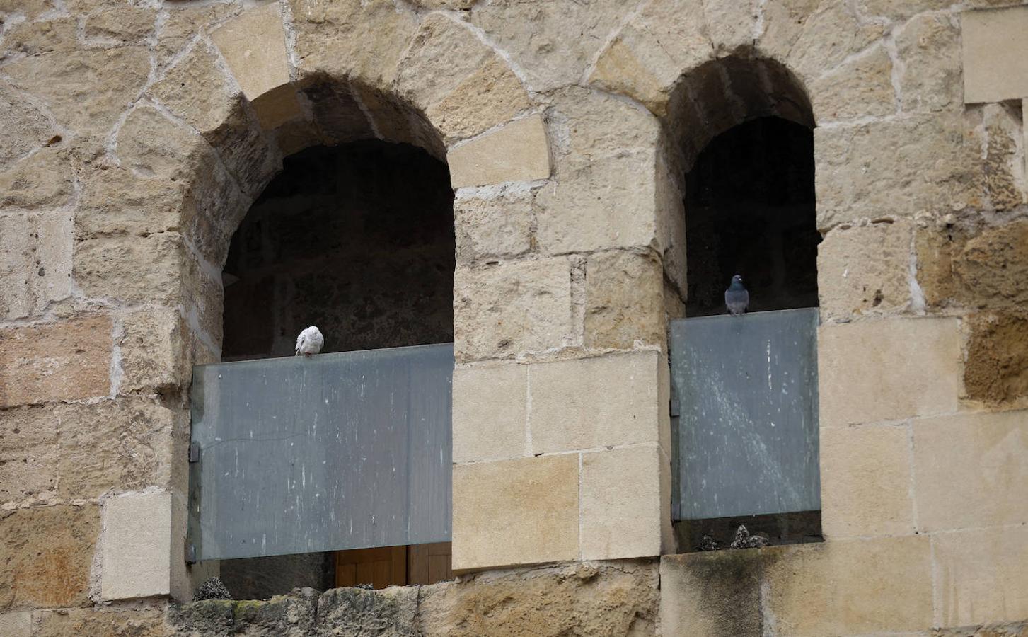 Luces y sombras de torres, puertas y patrimonio de Córdoba, en imágenes