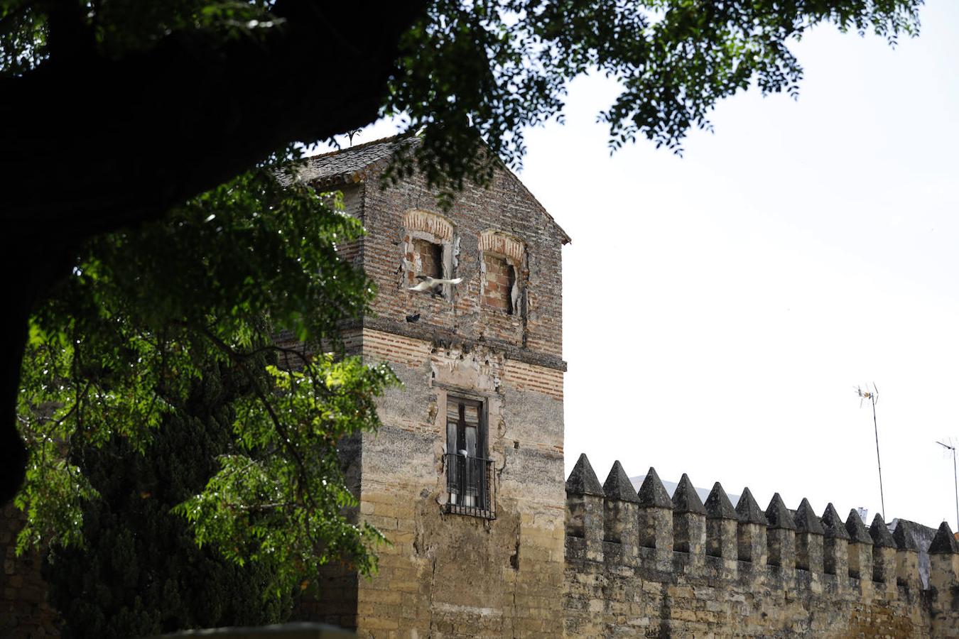 Luces y sombras de torres, puertas y patrimonio de Córdoba, en imágenes