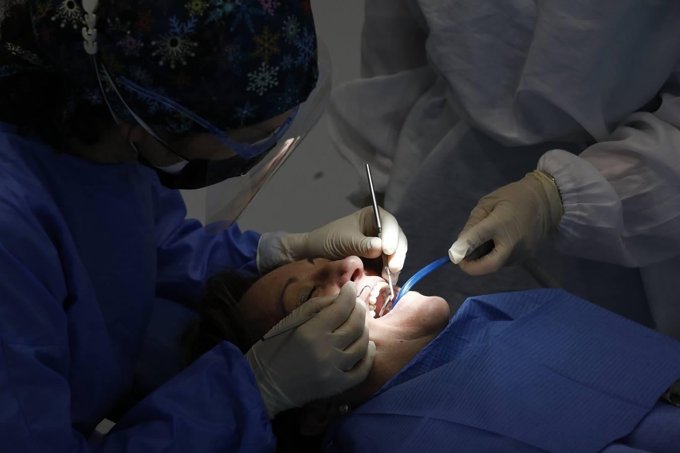 El día a día de los dentistas de Córdoba, en imágenes