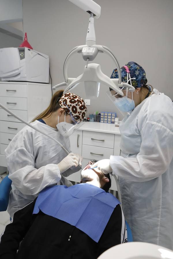 El día a día de los dentistas de Córdoba, en imágenes