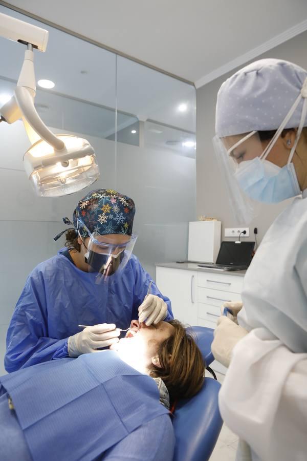 El día a día de los dentistas de Córdoba, en imágenes