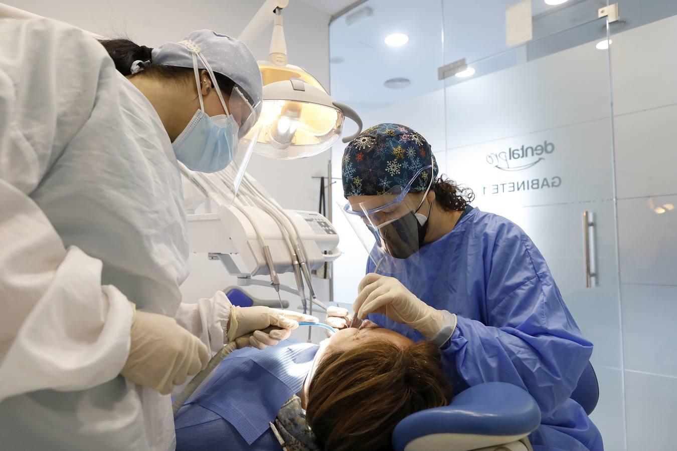 El día a día de los dentistas de Córdoba, en imágenes