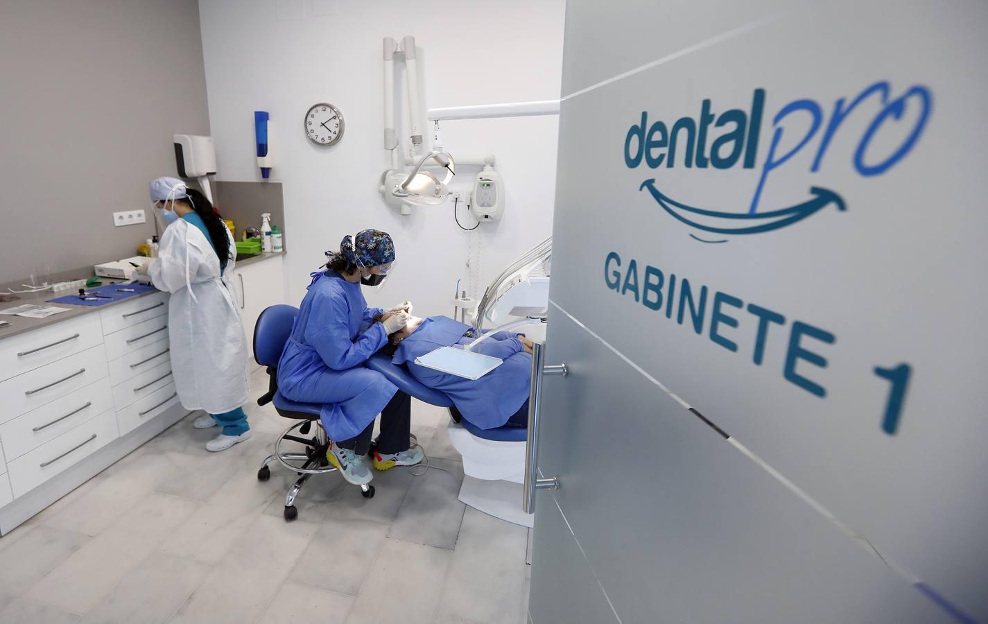 El día a día de los dentistas de Córdoba, en imágenes