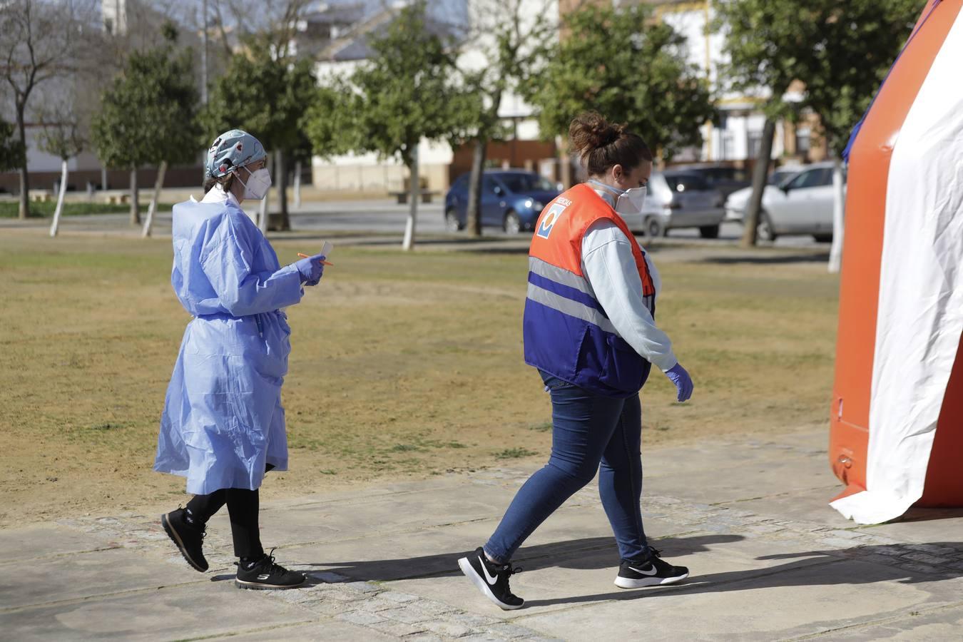 Vacunaciones masivas en Lora del Río