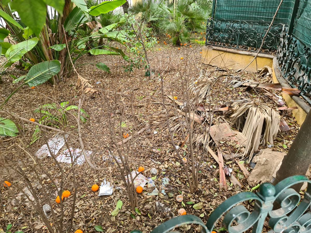 Fotogalería: El abandono del Lope de Vega y su entorno