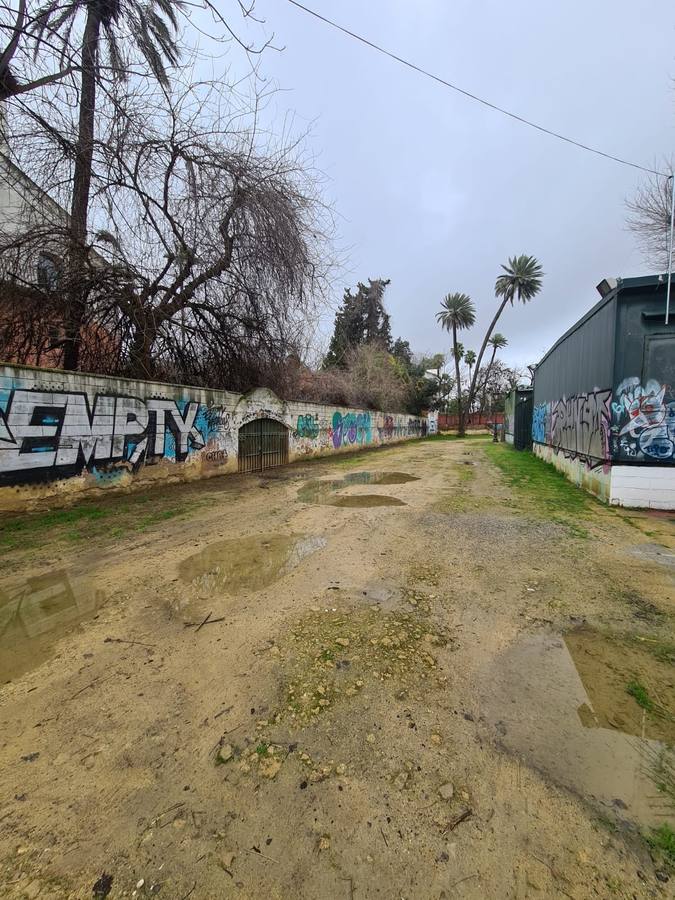 Fotogalería: El abandono del Lope de Vega y su entorno