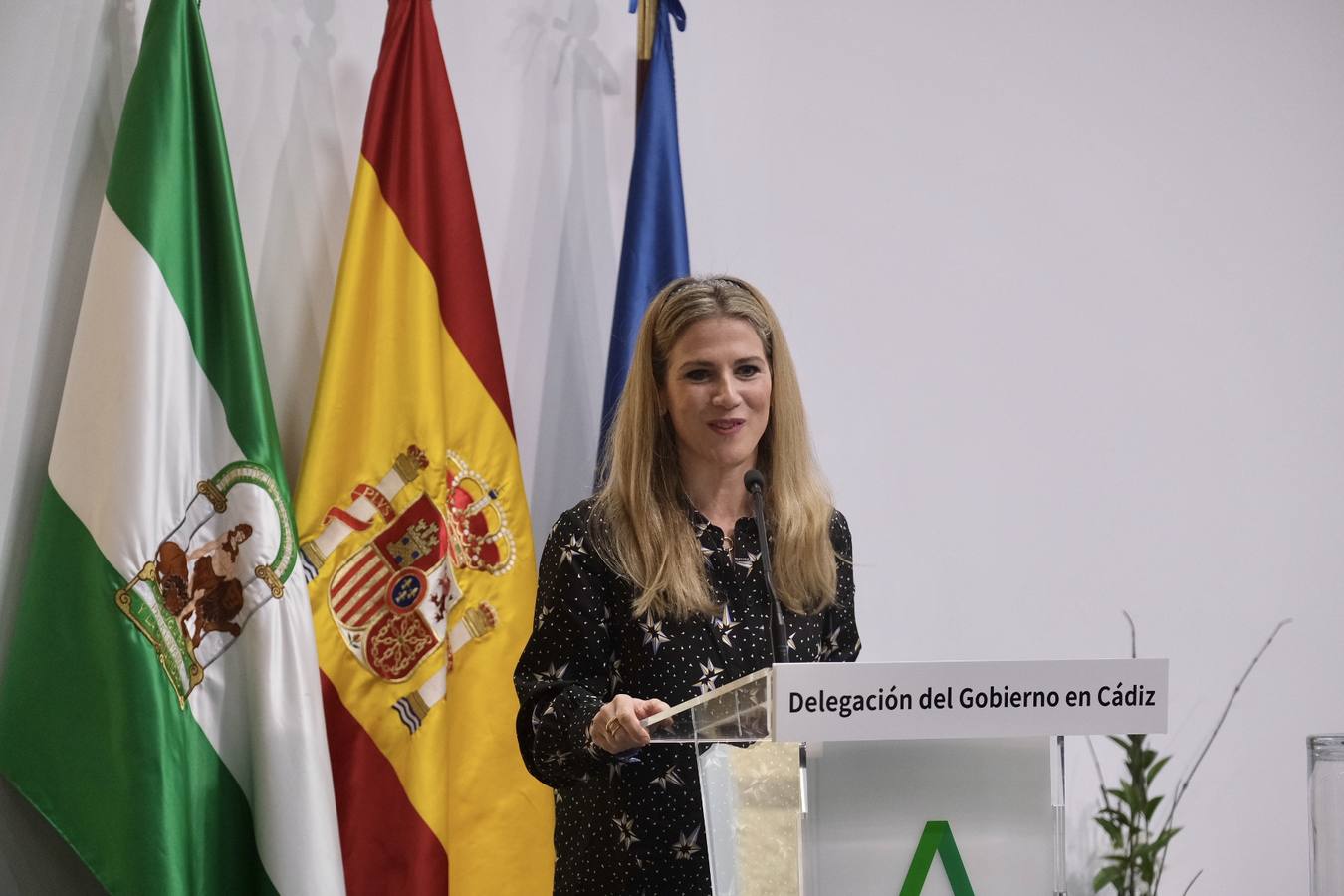 Fotos: La entrega de las banderas de Andalucía, en imágenes