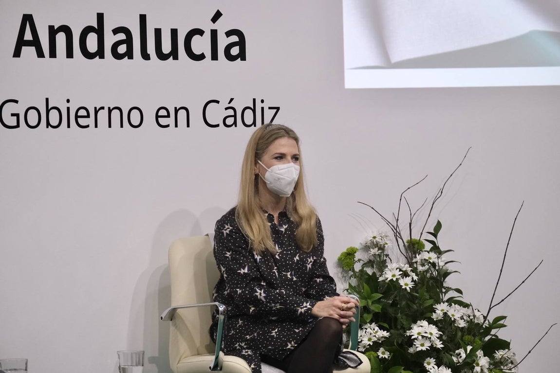 Fotos: La entrega de las banderas de Andalucía, en imágenes