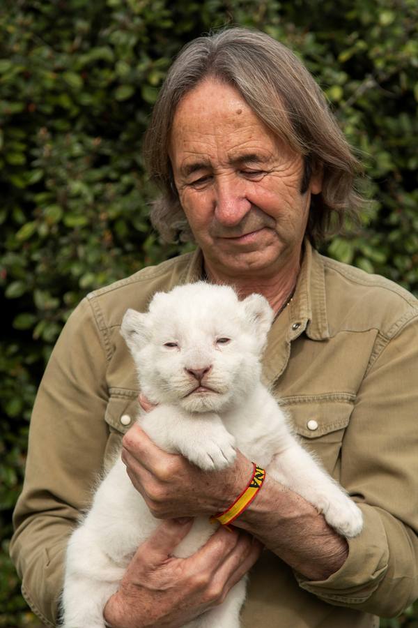 Fotogalería: Nace «The White King»,  pequeño león blanco de Sevilla