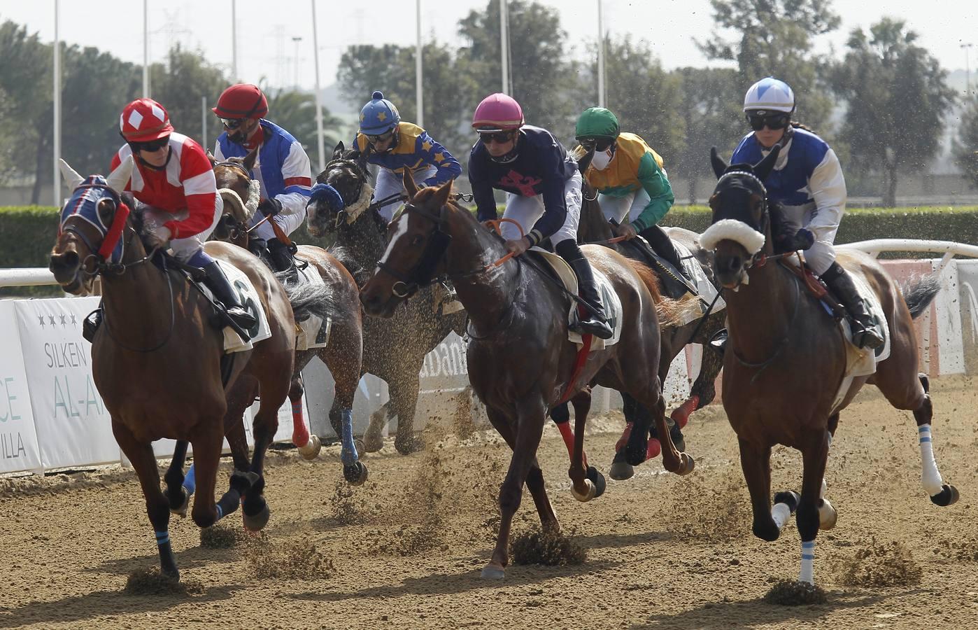 Las carreras de caballos vuelven a Pineda en el Día de Andalucía