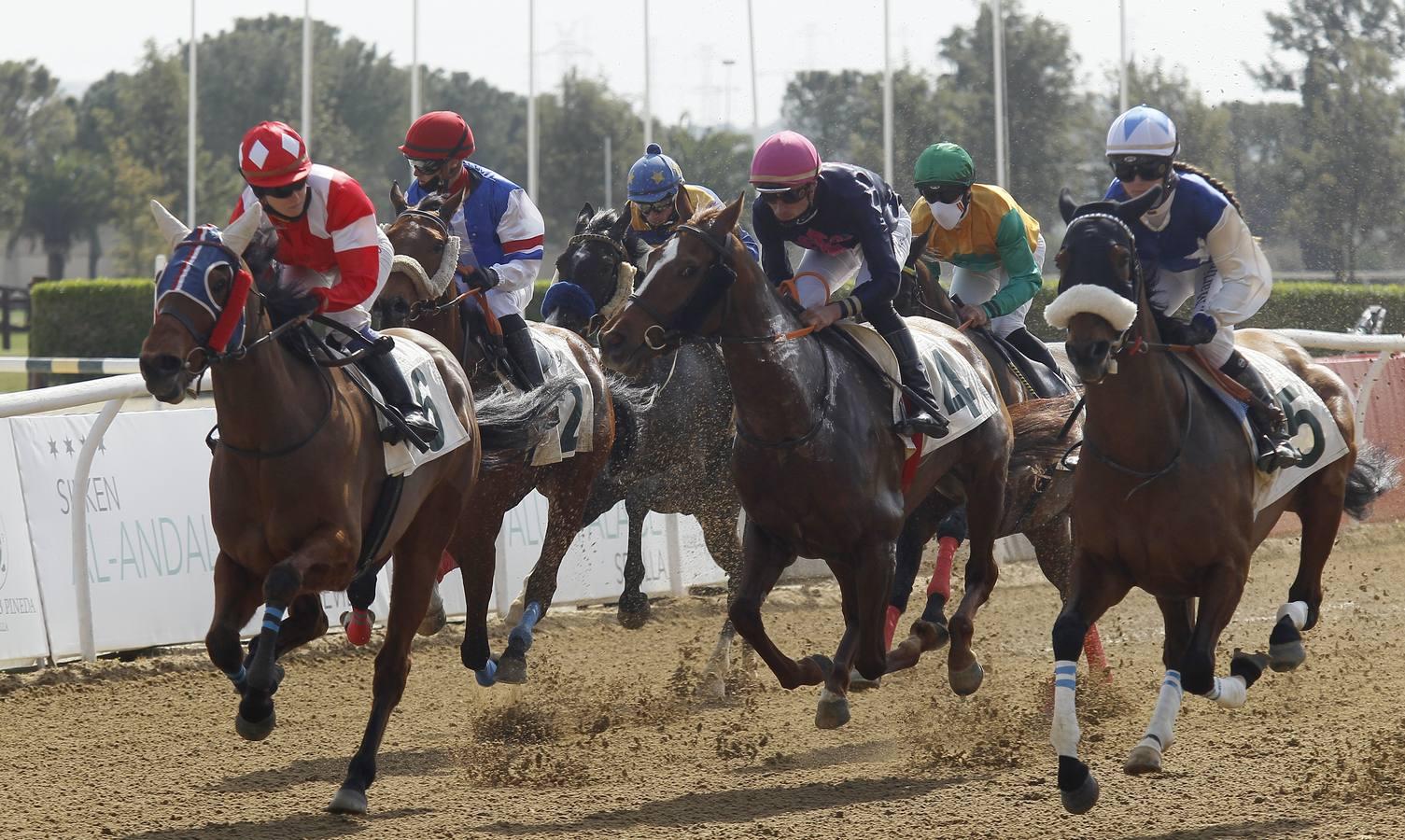 Las carreras de caballos vuelven a Pineda en el Día de Andalucía