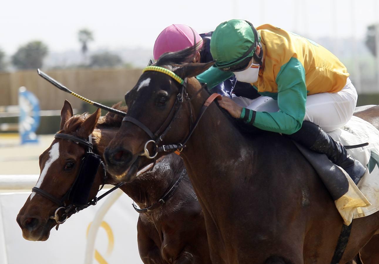 Las carreras de caballos vuelven a Pineda en el Día de Andalucía