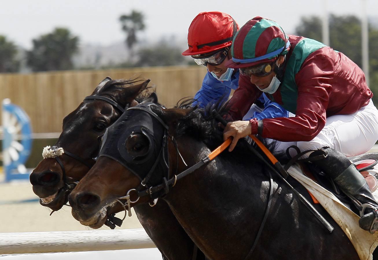 Las carreras de caballos vuelven a Pineda en el Día de Andalucía