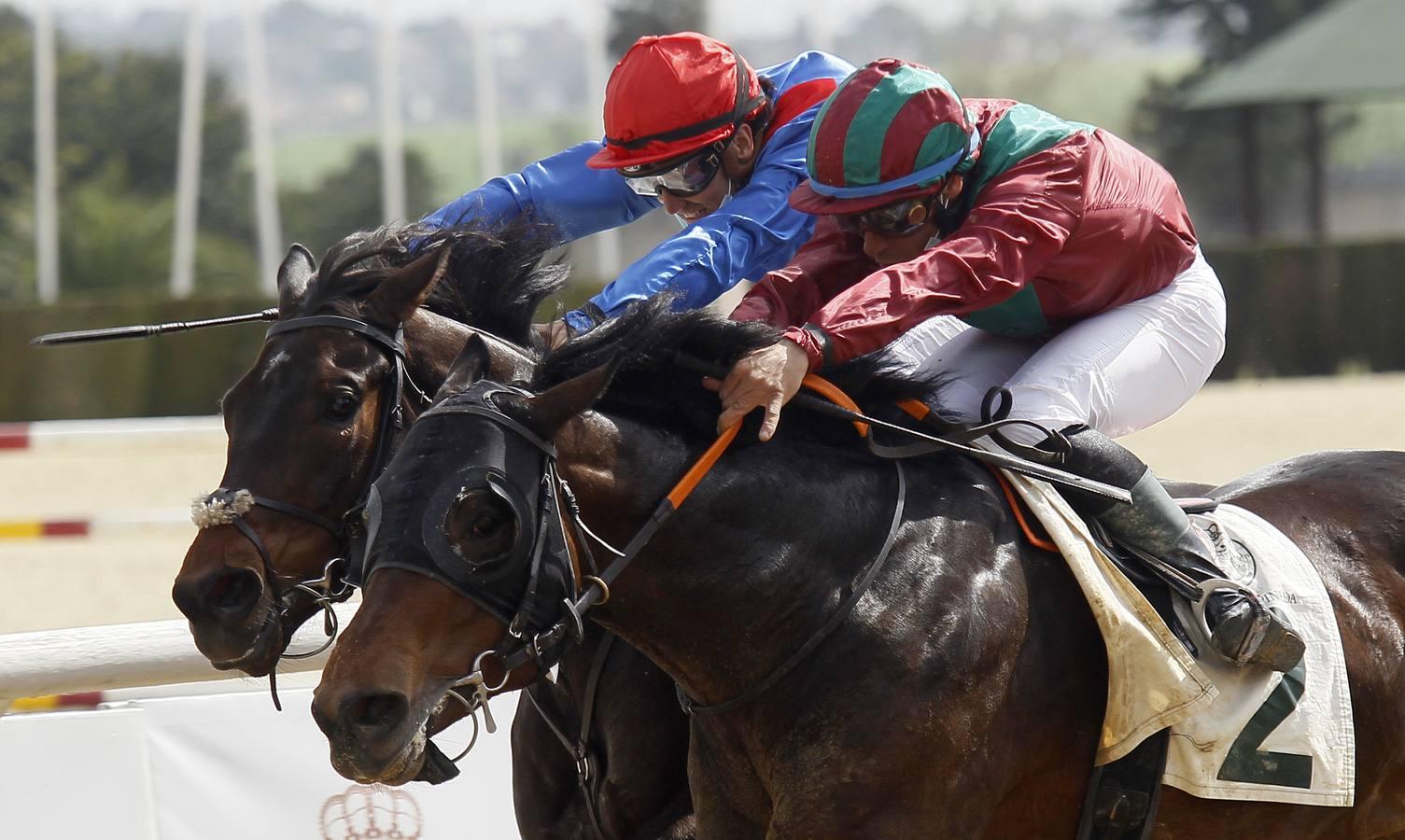 Las carreras de caballos vuelven a Pineda en el Día de Andalucía