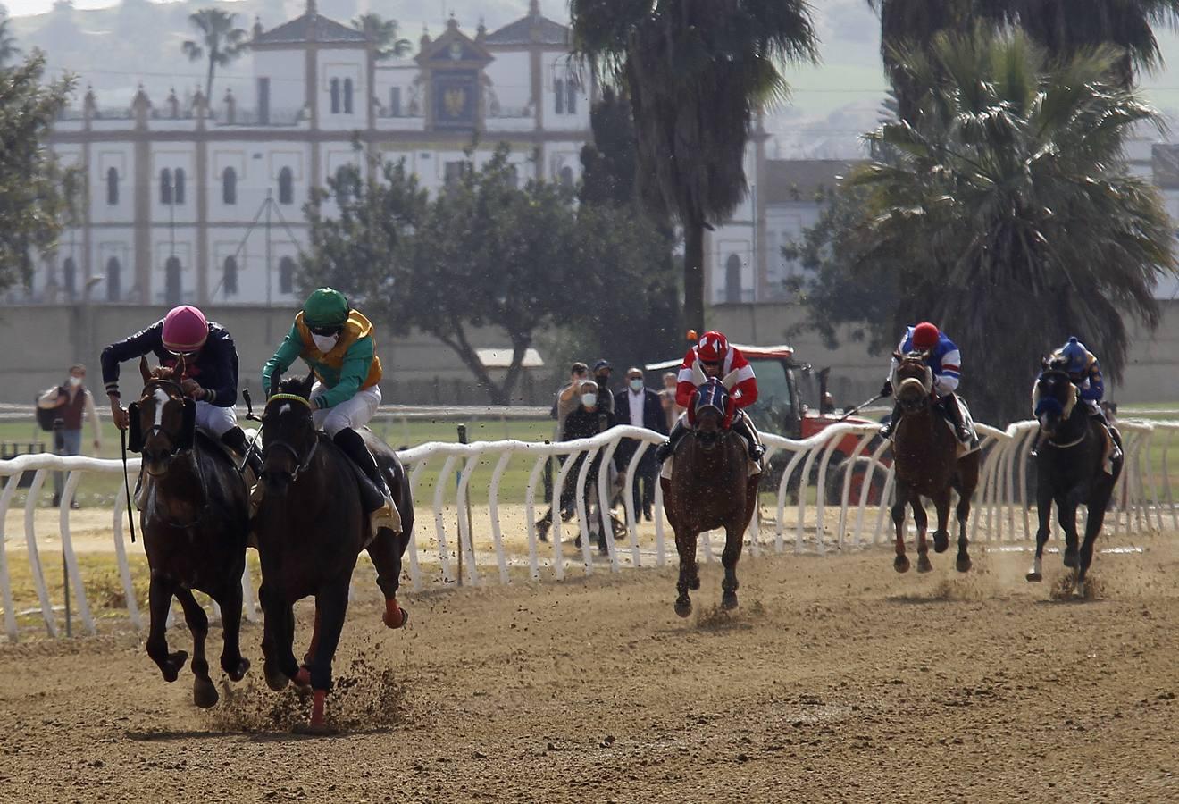 Las carreras de caballos vuelven a Pineda en el Día de Andalucía