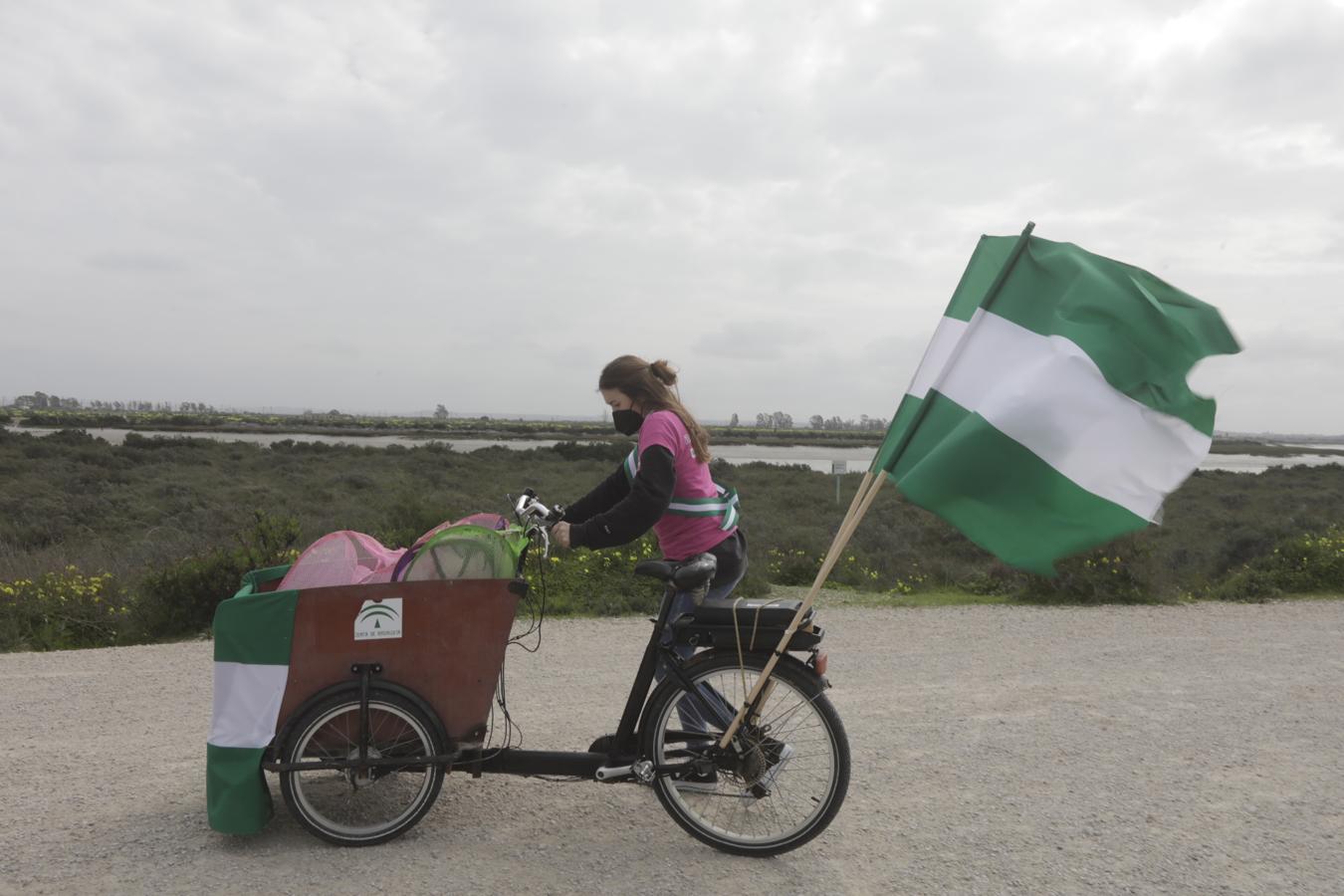 En imágenes: Los Toruños celebra el Día de Andalucía