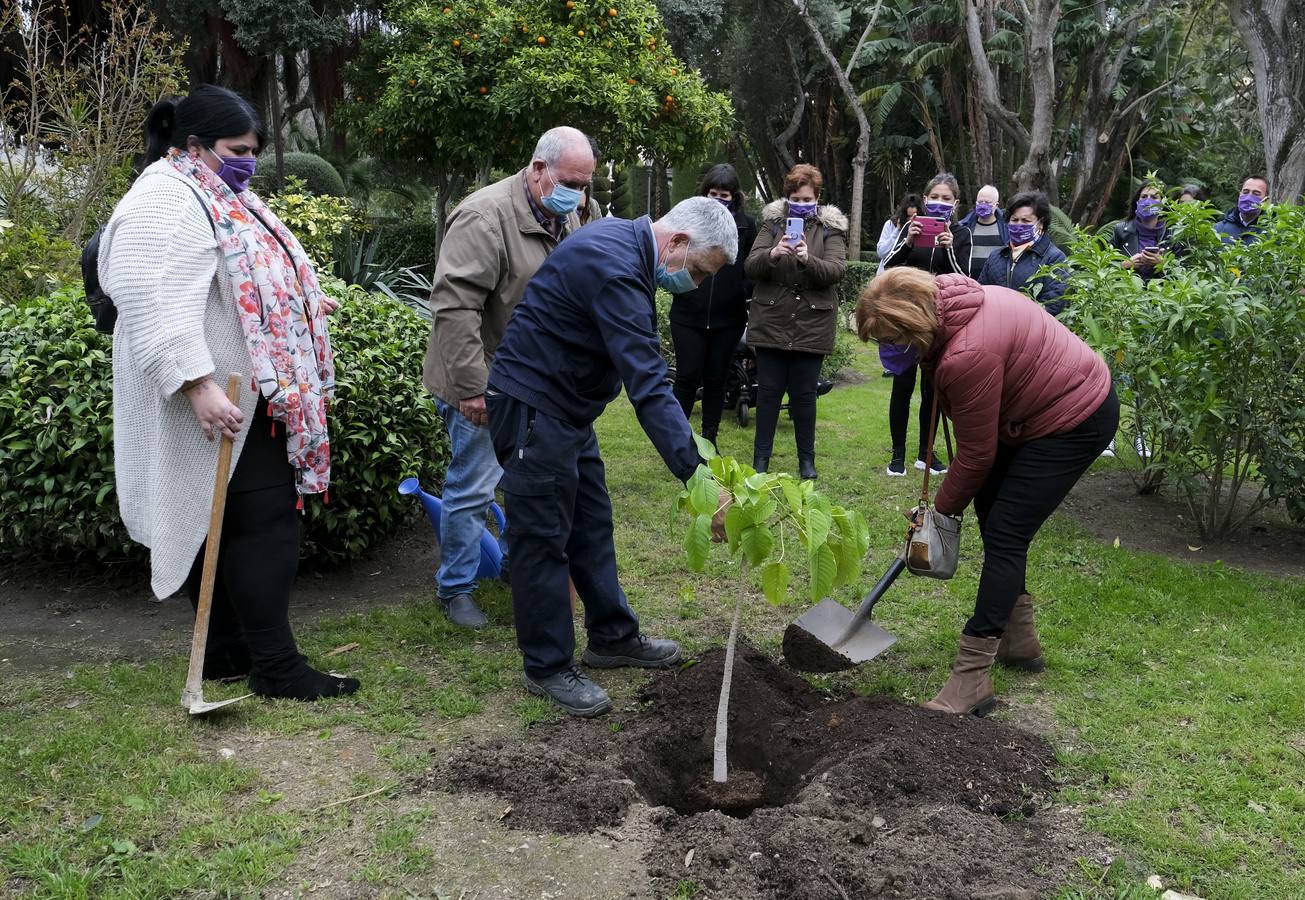 FOTOS: El 8-M, día de la mujer en Cádiz