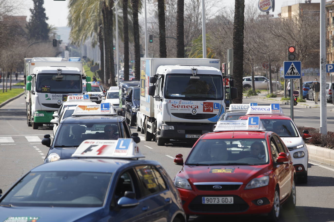 La protesta de las autoescuelas en Córdoba, en imágenes