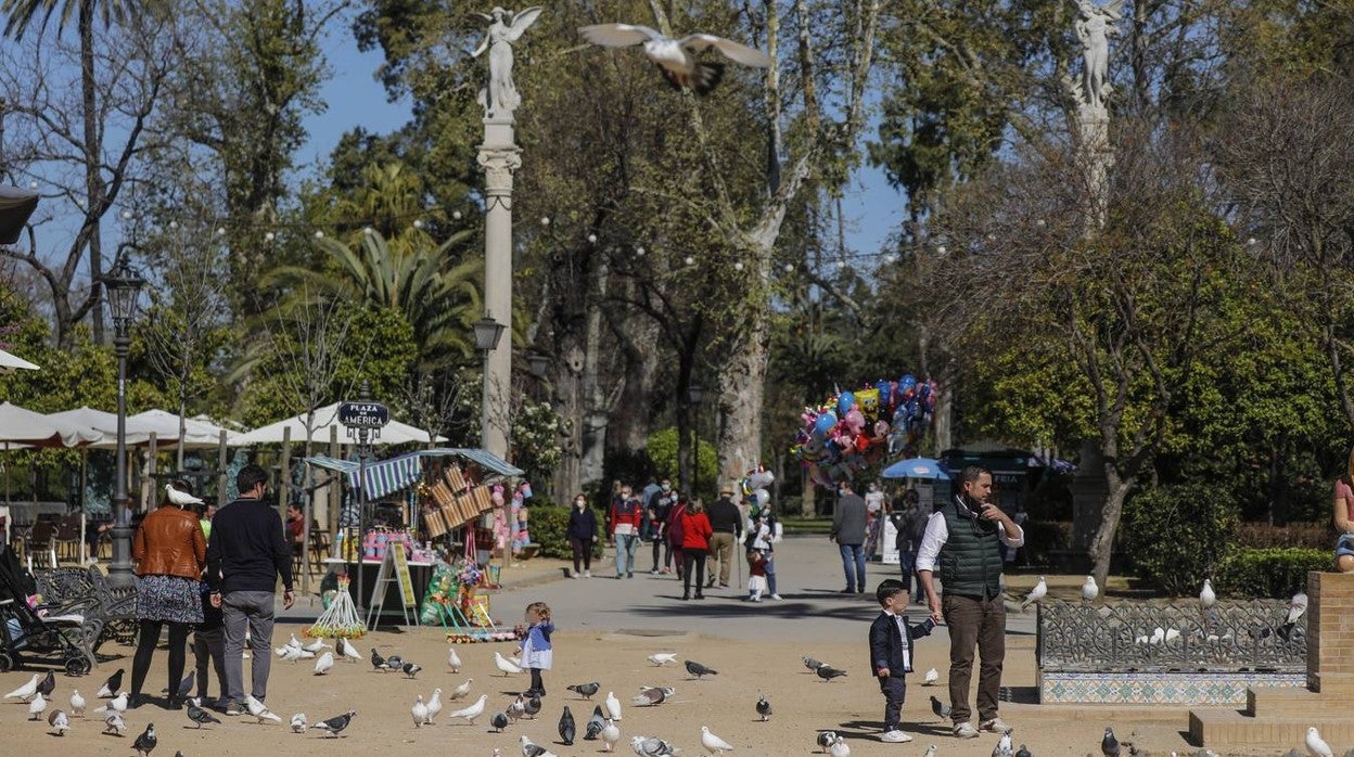 Las imágenes de una mañana primaveral en el parque de María Luisa de Sevilla