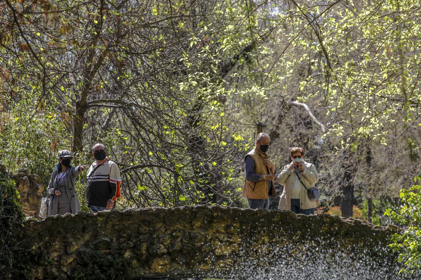 Sevillanos paseando por el parque de María Luisa