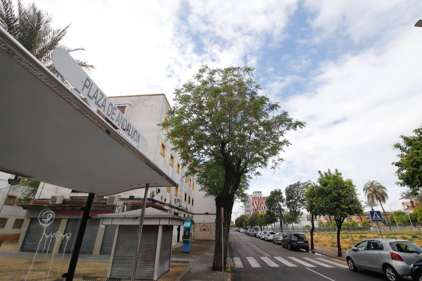 El aniversario del confinamiento en Córdoba, en imágenes