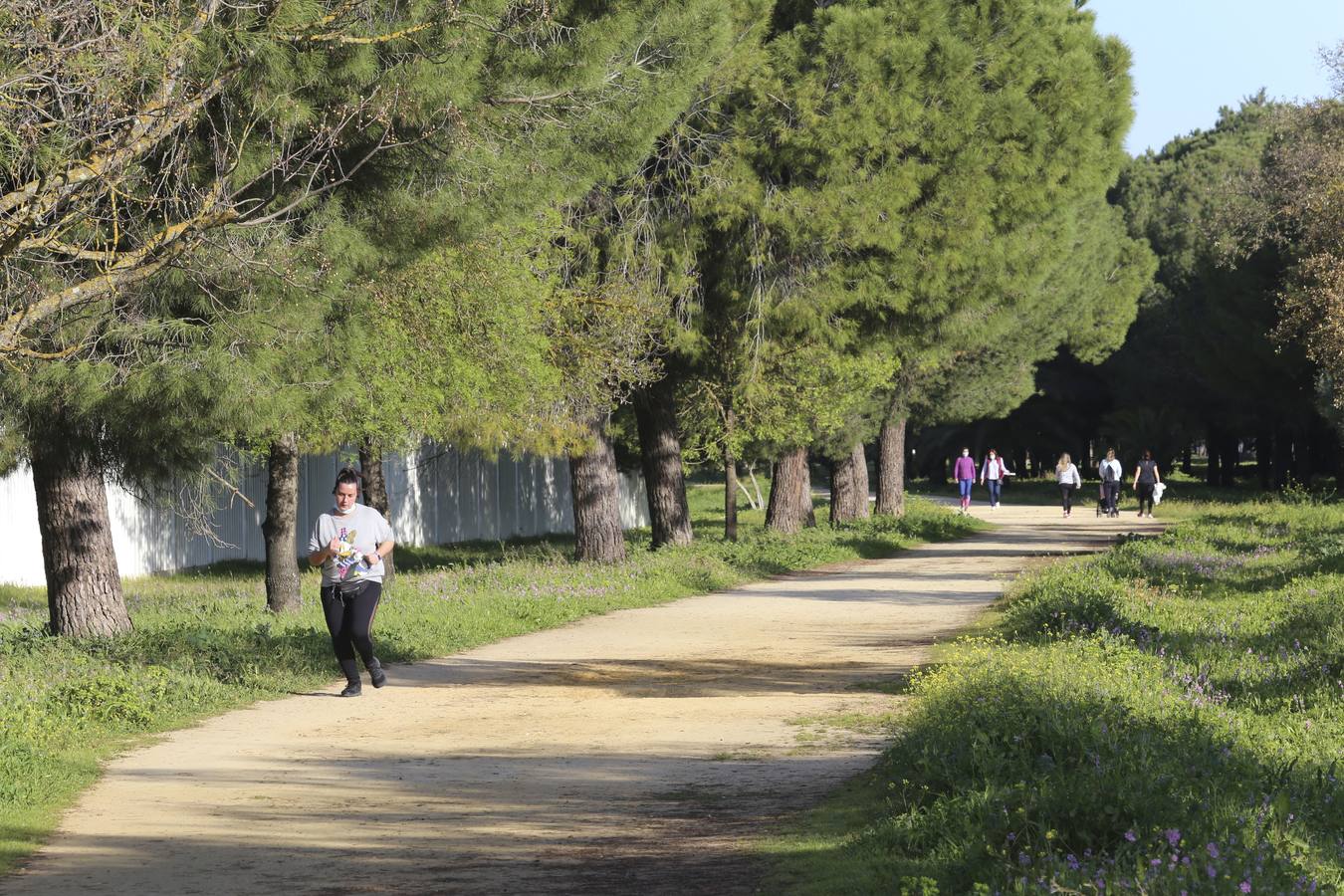 Fotogalería: Mejoras en el Parque de Torreblanca