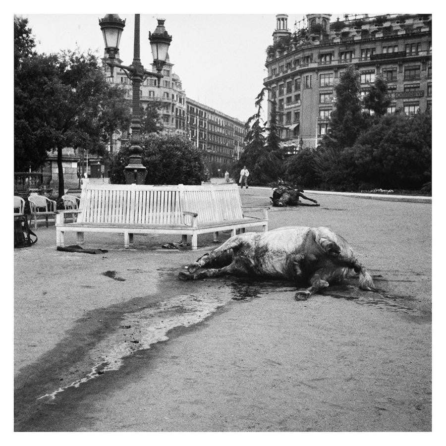 Sin título ('Caballos muertos'). Pl. Catalunya, 19-21 de julio de 1936. Arxiu Campañà