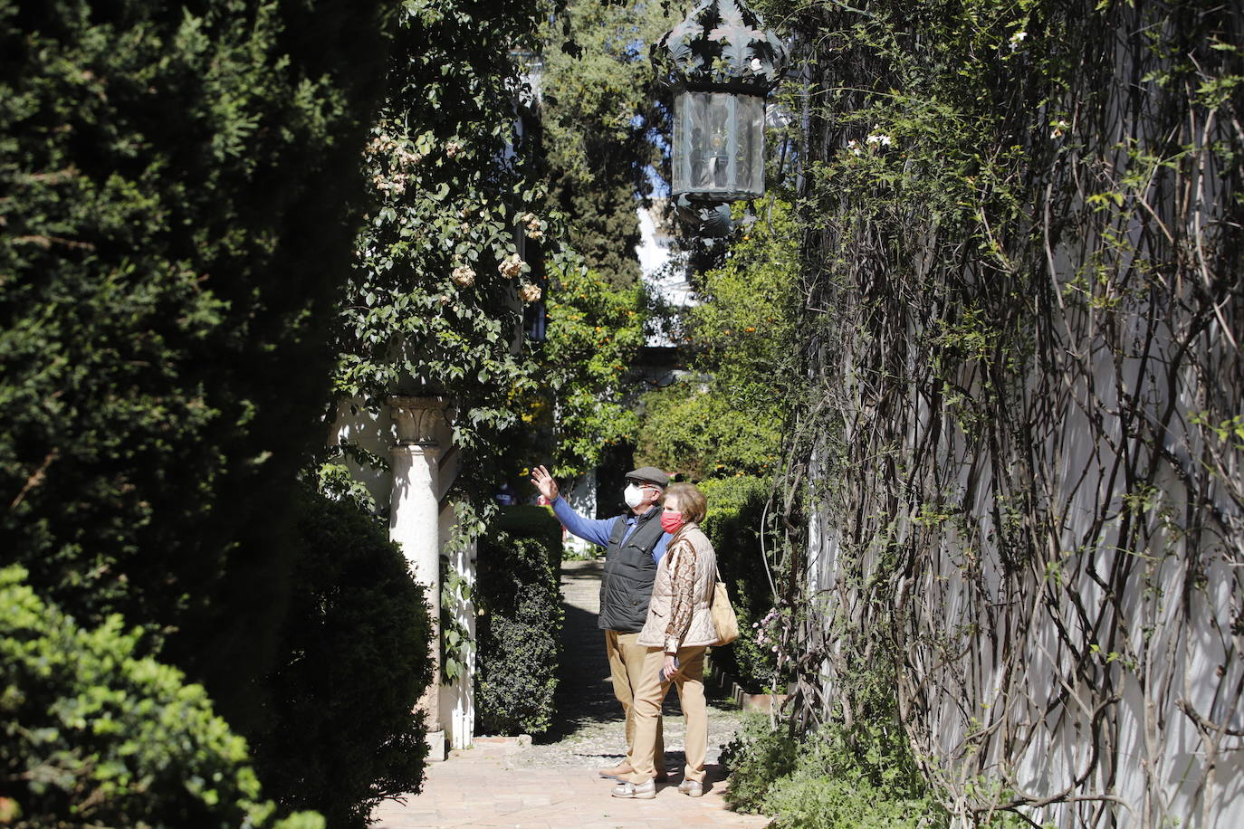 Las visitas gratuitas al Palacio de Viana, de Córdoba, en imágenes