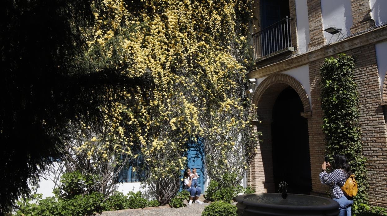 Las visitas gratuitas al Palacio de Viana, de Córdoba, en imágenes