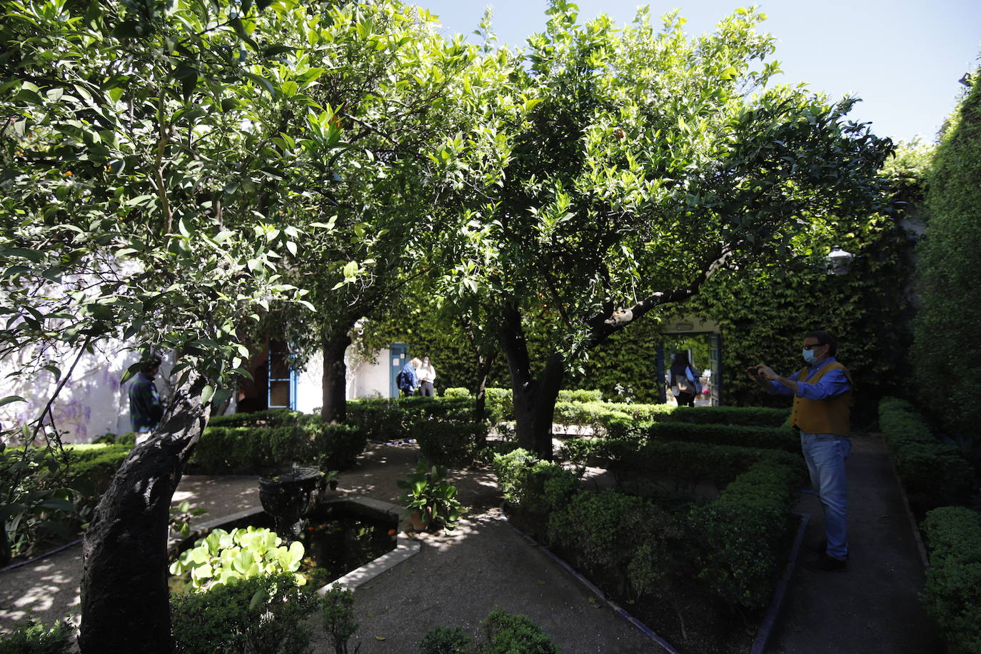 Las visitas gratuitas al Palacio de Viana, de Córdoba, en imágenes