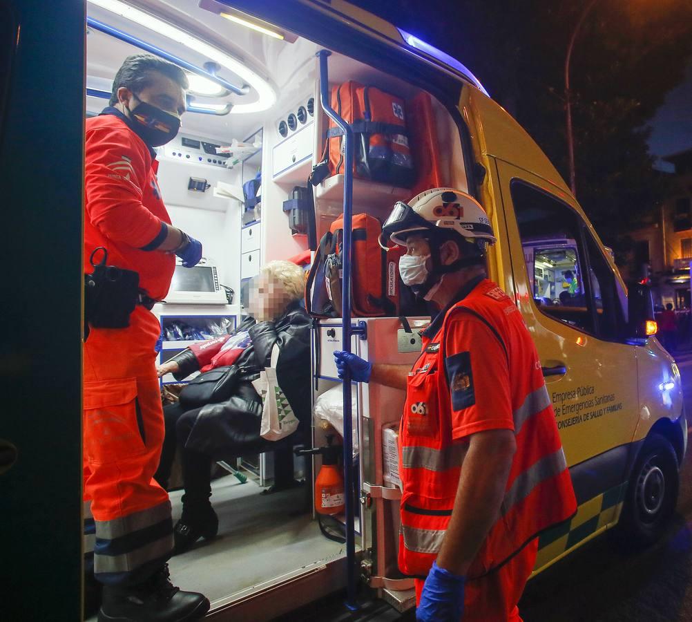 Tres mujeres hospitalizadas por la caída de una rama del ficus centenario de San Jacinto