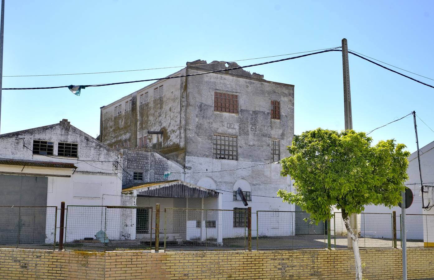 Fotogalería: Los restos de las Marismas inglesas en Sevilla