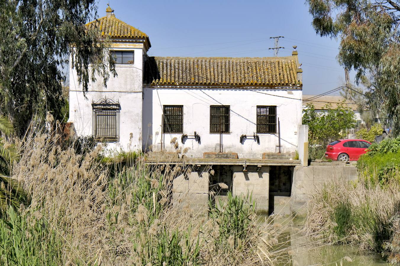 Fotogalería: Los restos de las Marismas inglesas en Sevilla