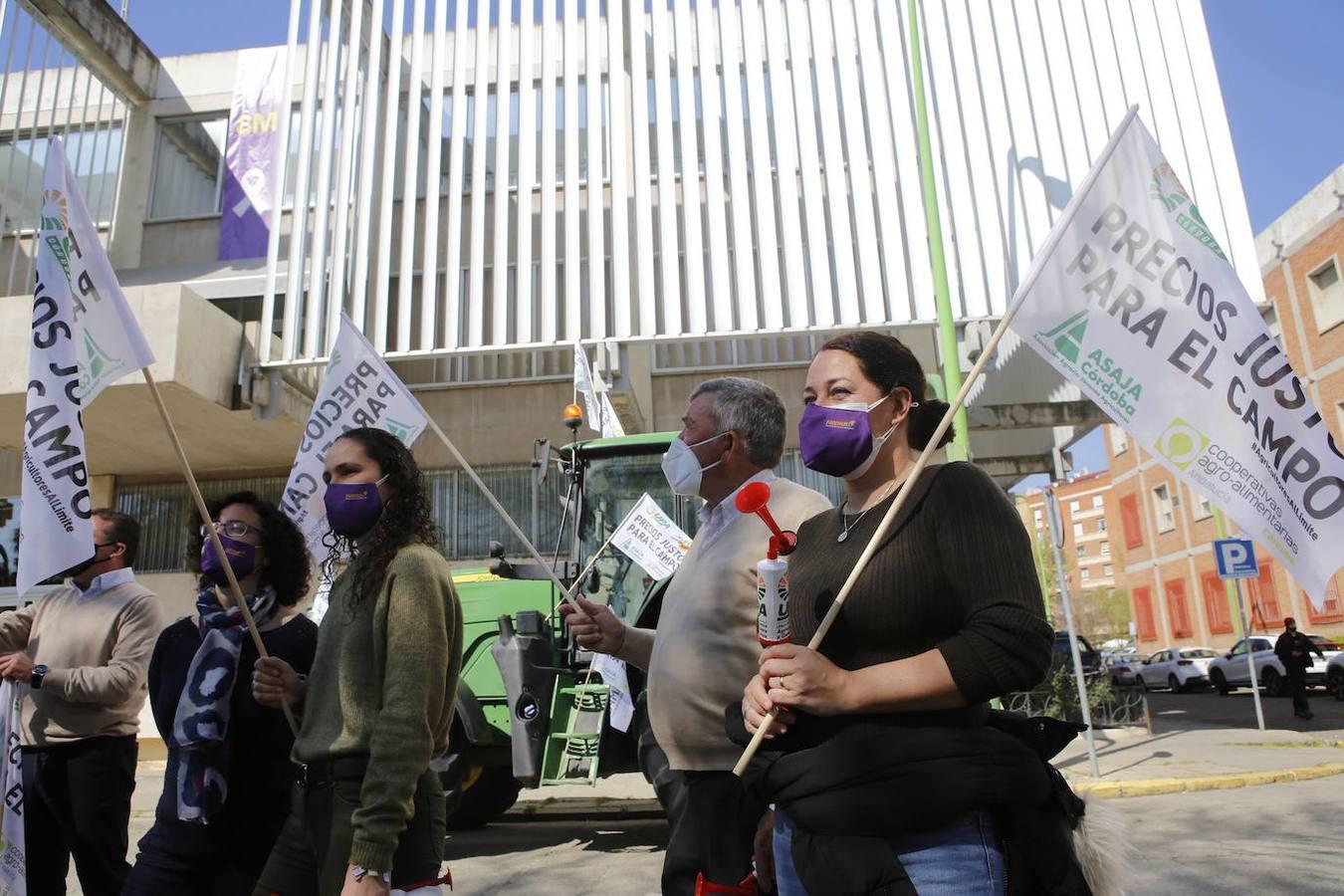 La protesta de los agricultores contra el Gobierno en Córdoba, en imágenes